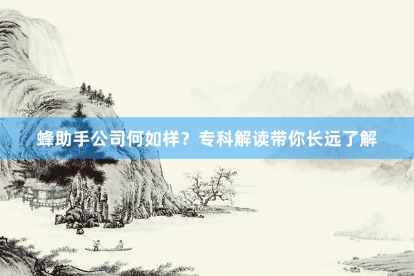 蜂助手公司何如样？专科解读带你长远了解