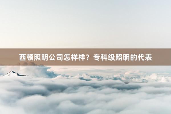西顿照明公司怎样样？专科级照明的代表