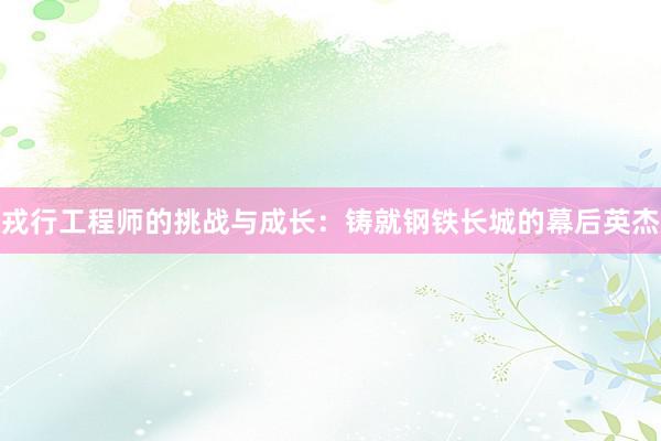 戎行工程师的挑战与成长：铸就钢铁长城的幕后英杰